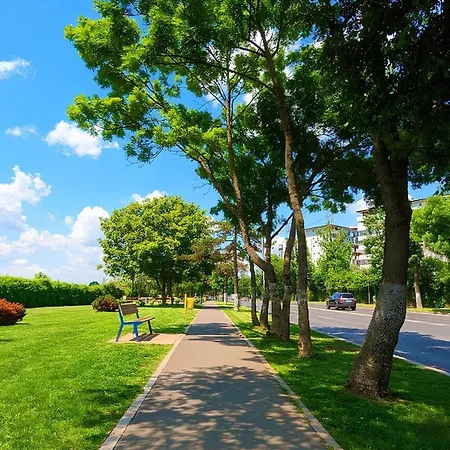 Junior By Kristal Collection *