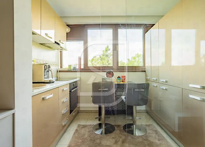 Junior By Kristal Collection 부쿠레슈티