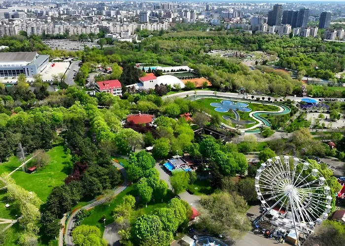 Junior By Kristal Collection 布加勒斯特