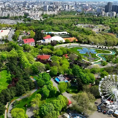 Junior By Kristal Collection Bucarest